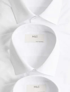 2 Inch Shorter 3 Pack Slim Fit Easy Iron Long Sleeve Shirts