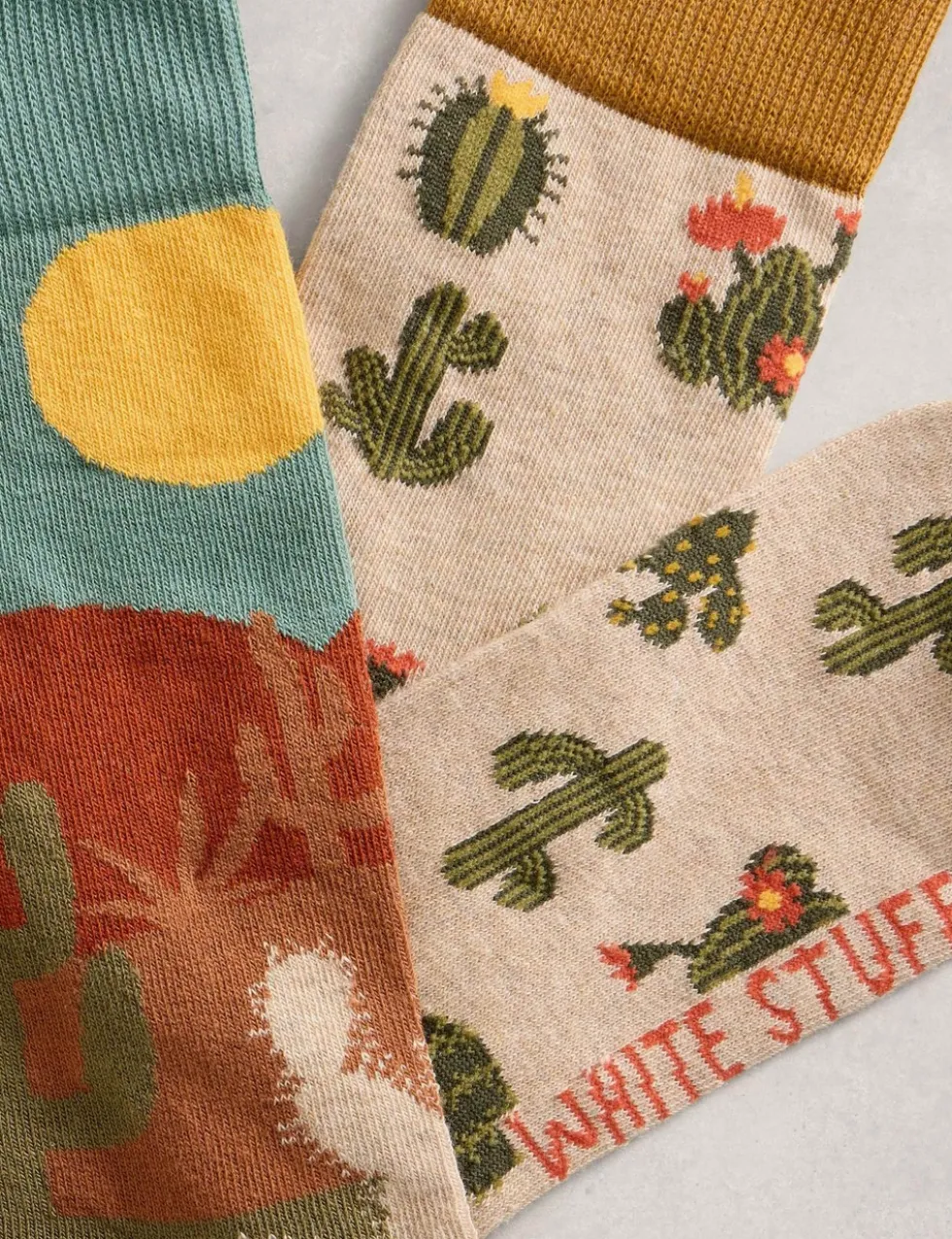 2 Pack Cactus Novelty Cotton Rich Socks