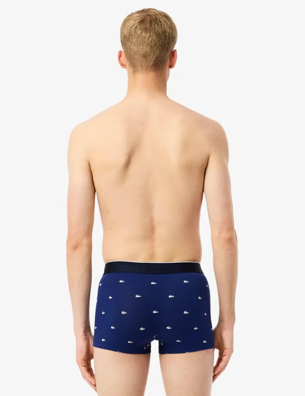 3 Pack Cotton Rich Crocodile Trunks