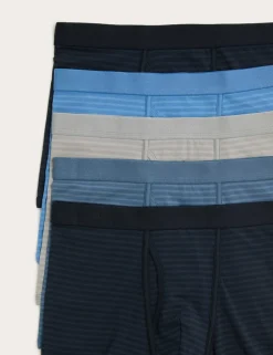 5 Pack Cotton Stretch Striped Trunks