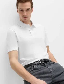 5 Pack Pure Cotton Polo Shirts