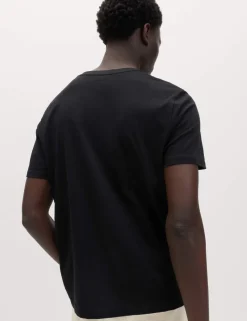 3 Pack Pure Cotton V-Neck T-Shirts