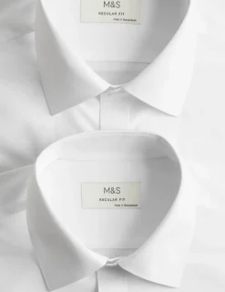 2 Pack Regular Fit Easy Iron Cotton Blend Shirts