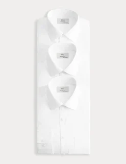 3 Pack Regular Fit Easy Iron Long Sleeve Shirts