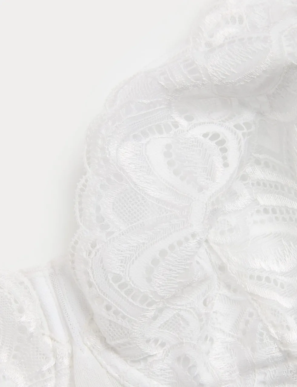 Amelia Lace Natural Lift Wired Full Cup Bra (F+)