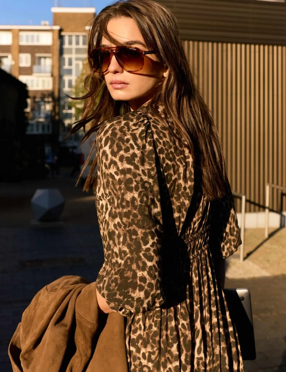 Animal Print Midi Skater Dress