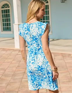 Animal Print V-Neck Mini Shift Dress