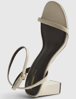 Ankle Strap Block Heel Sandals