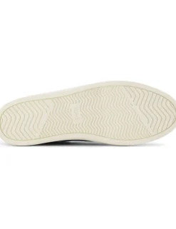 Canvas Trainers