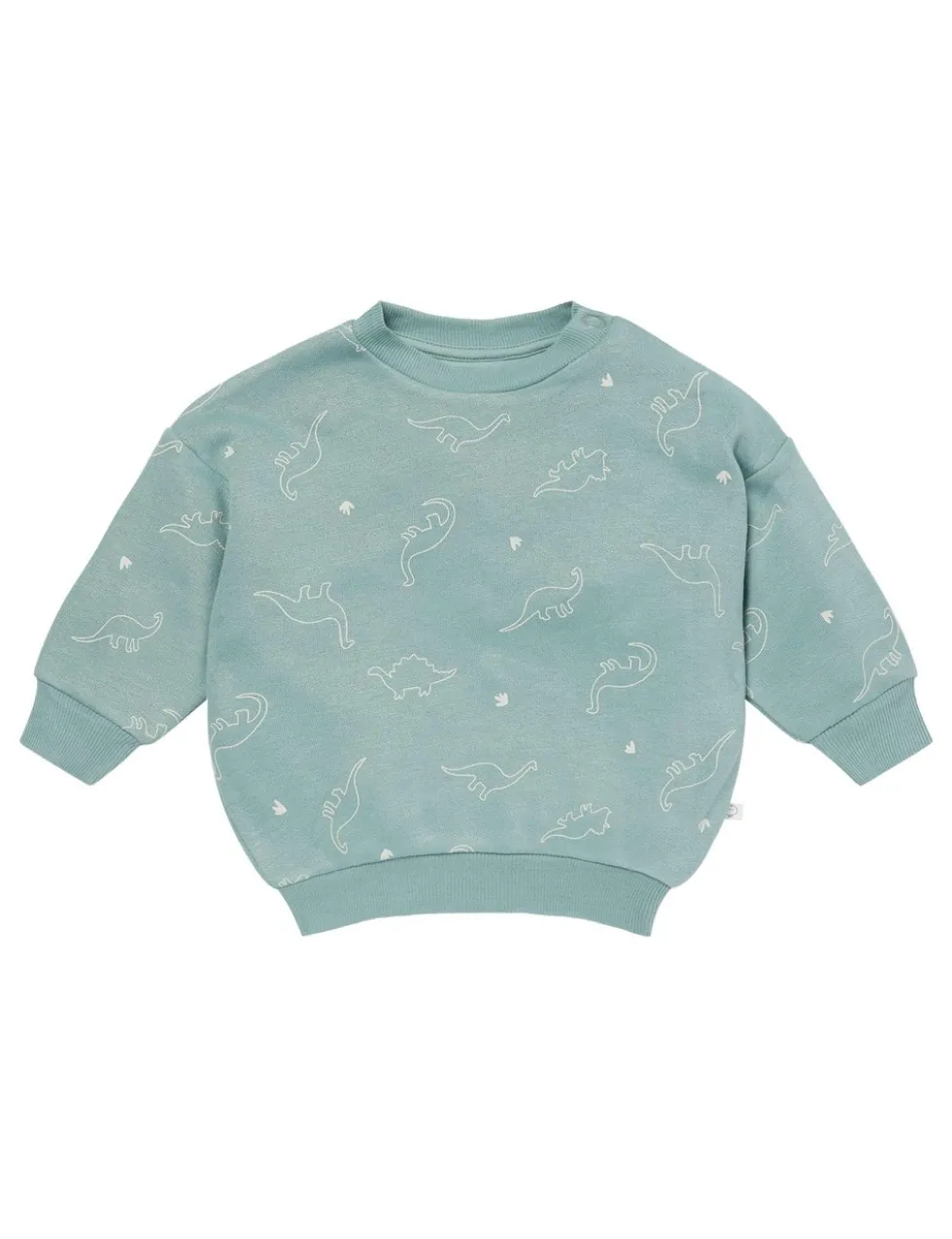 Cotton Blend Dinosaur Sweatshirt (3 Mths-5 Yrs)