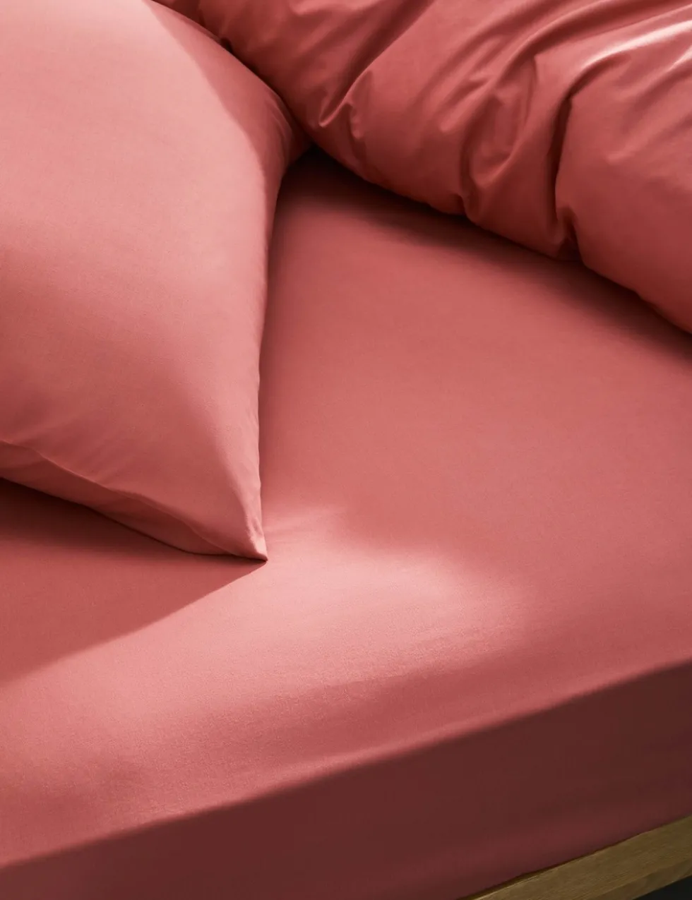 Cotton Rich Fitted Sheet