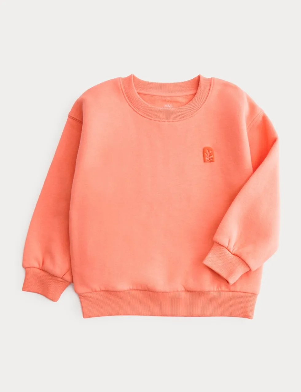 Cotton Rich Leaf Graphic Sweatshirt (2-8 Yrs)