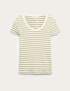 Cotton Rich Scoop Neck Slim Fit T-Shirt