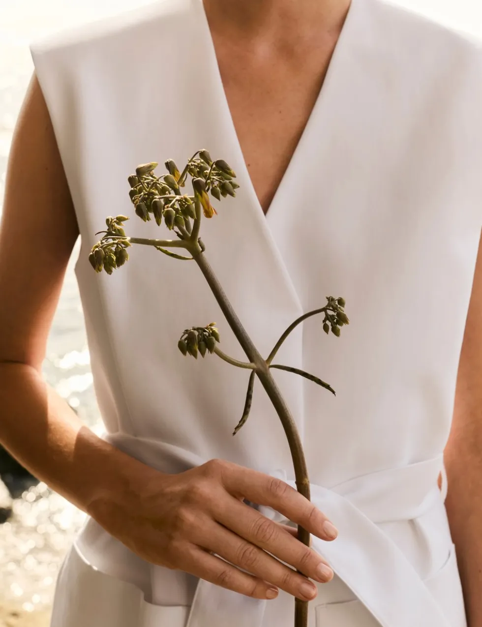 Cotton Rich Sleeveless Jacket with Modal
