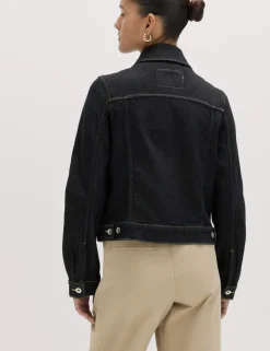 Denim Collared Short Trucker Jacket