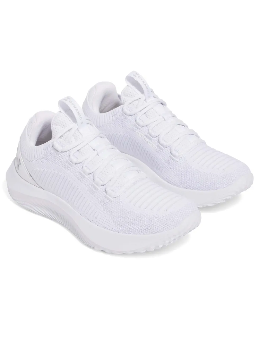Dynamic 2 Trainers