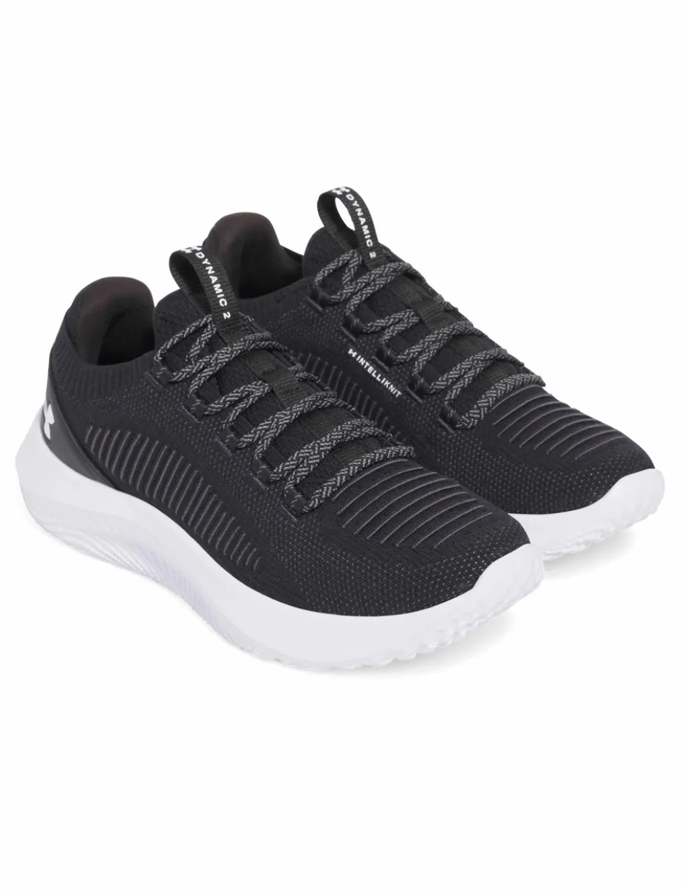 Dynamic 2 Trainers