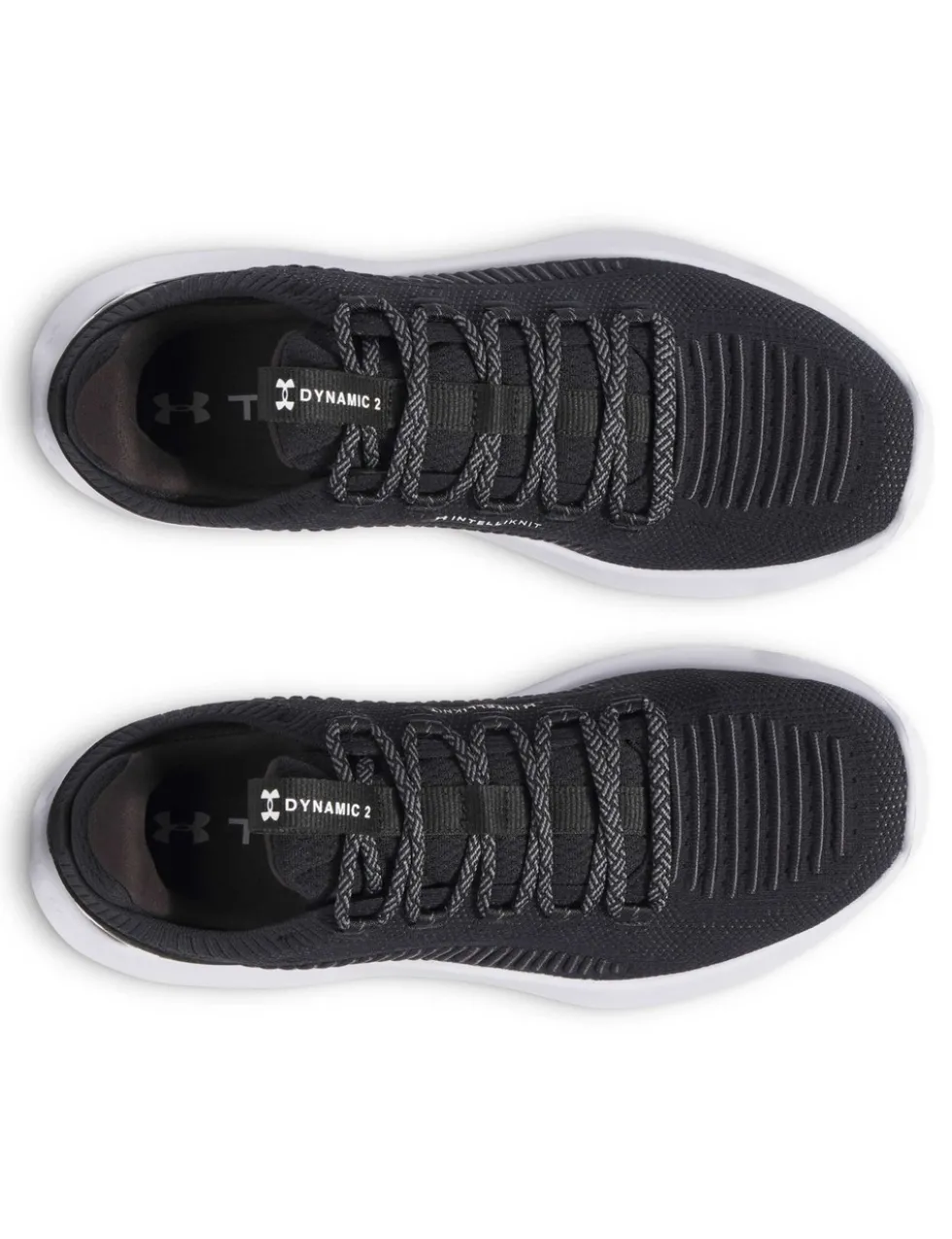 Dynamic 2 Trainers
