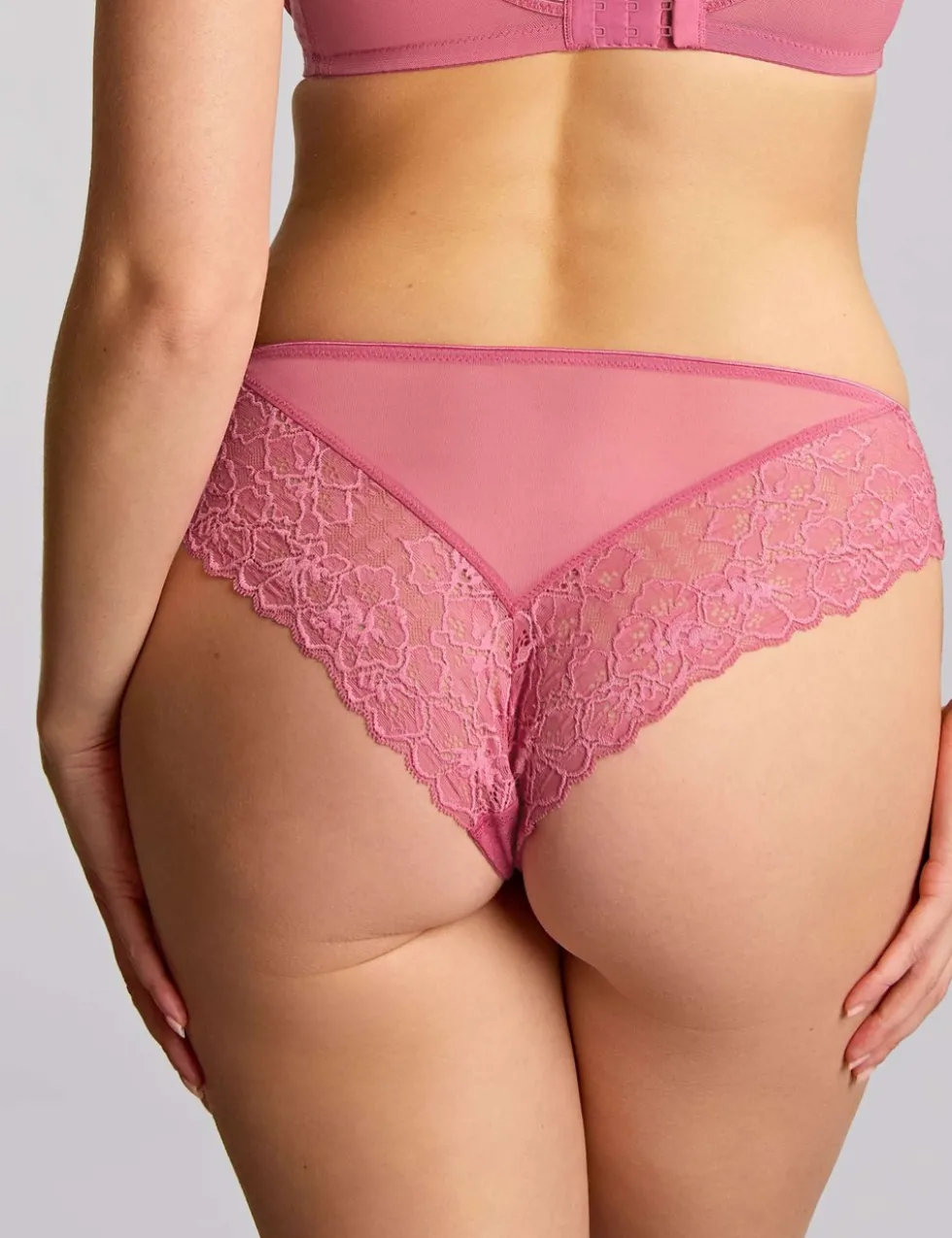 Envy Mesh & Lace Brazilian Knickers