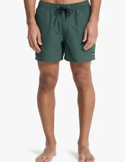 Everyday Jam/Volley Swim Shorts