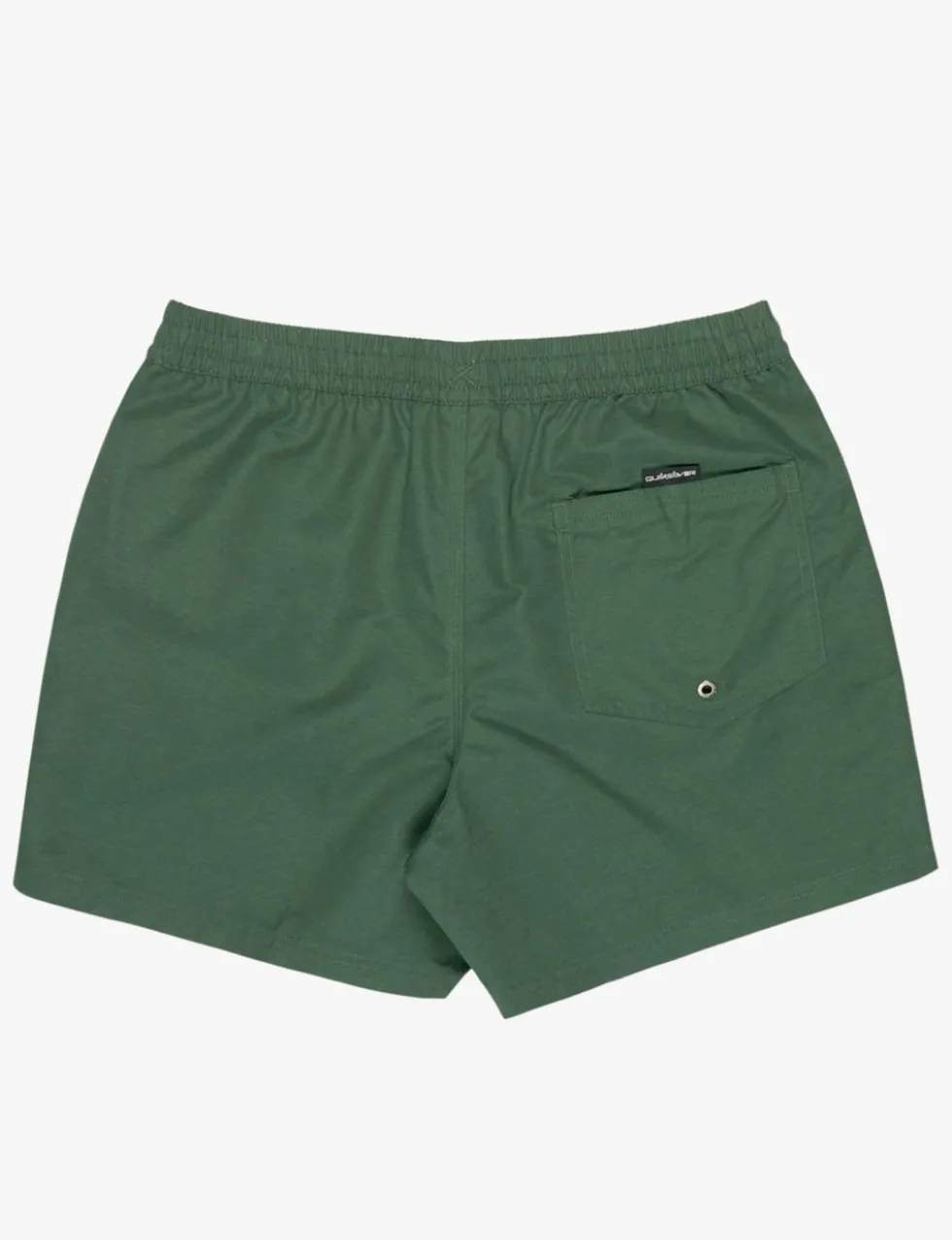 Everyday Jam/Volley Swim Shorts