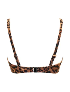 Free Spirit Printed Wired Padded Bikini Top B-G