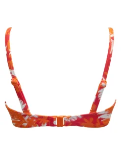 Free Spirit Printed Wired Padded Bikini Top B-G