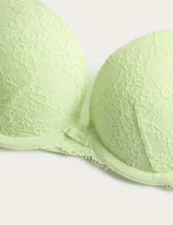 Ida Lace Wired Push-Up Plunge Bra (A-E)