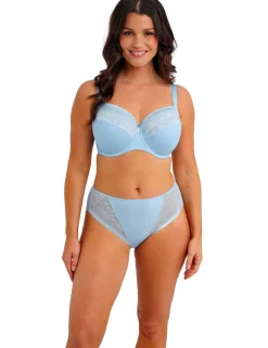 Illusion High Waisted Briefs
