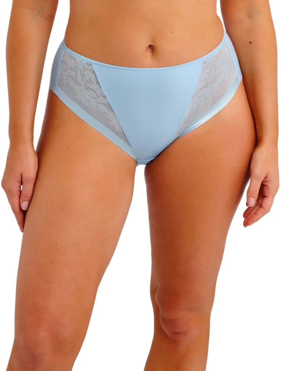 Illusion High Waisted Briefs