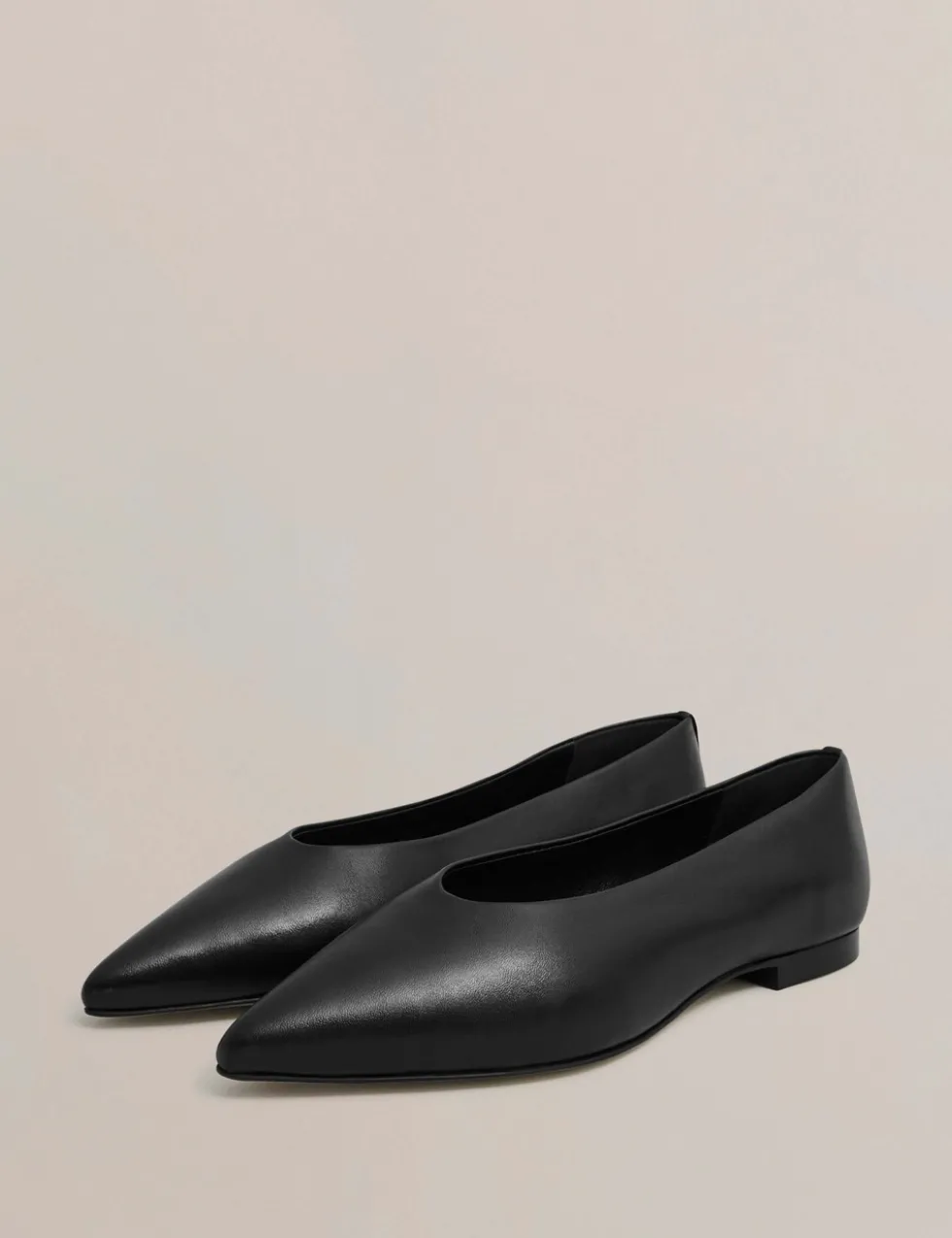 Leather Flat Pointed Ballet Pumps