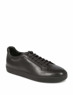Leather Lace Up Trainers