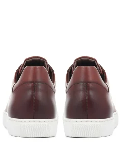 Leather Lace-Up Trainers