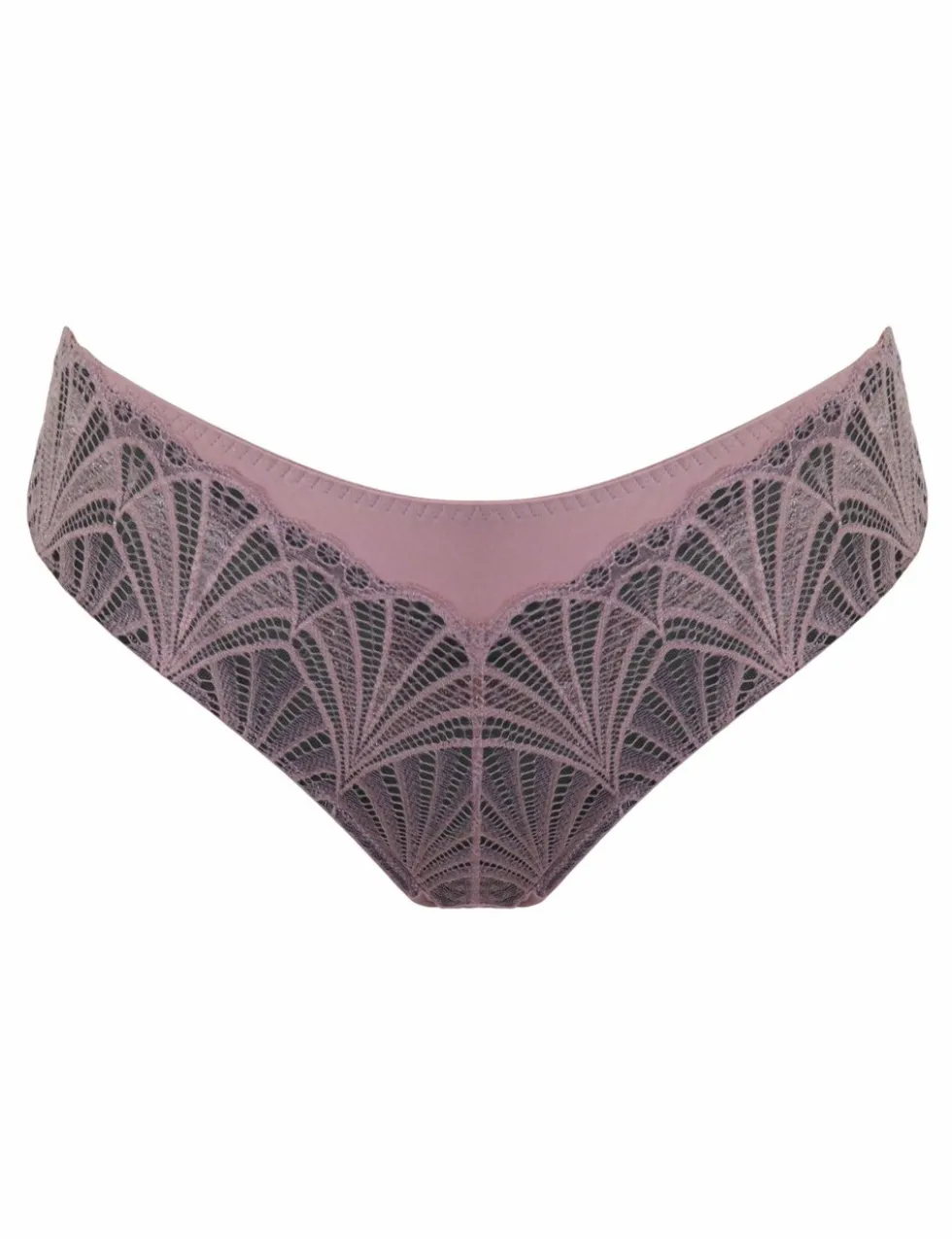 New Romance Emboridery Bikini Knickers