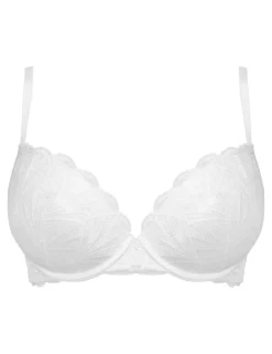 New Romance Lace Wired Push-Up Bra (A-DD)