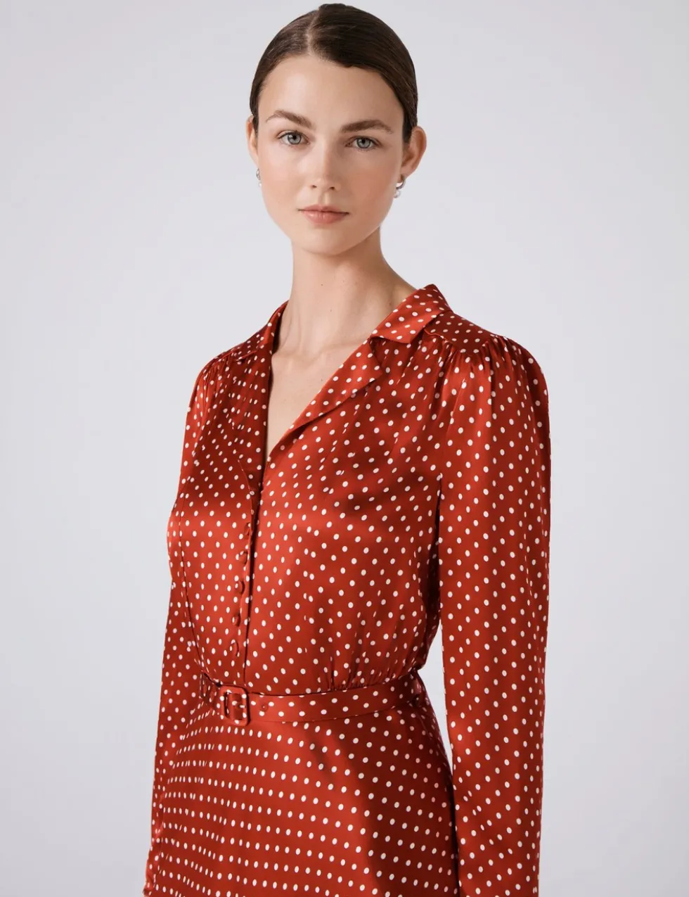 Polka Dot Collared Midi Tea Dress