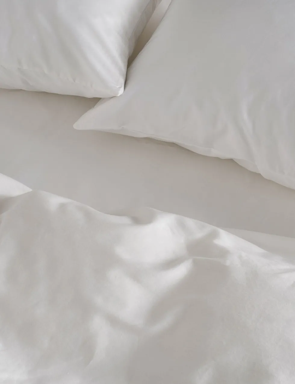 Pure Cotton 300 Thread Count Flat Sheet