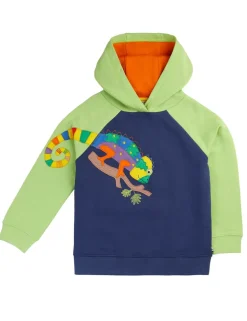 Pure Cotton Chameleon Appliqué Hoodie (2-12 Yrs)