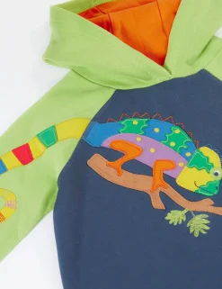 Pure Cotton Chameleon Appliqué Hoodie (2-12 Yrs)