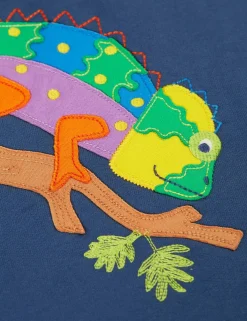Pure Cotton Chameleon Appliqué Hoodie (2-12 Yrs)