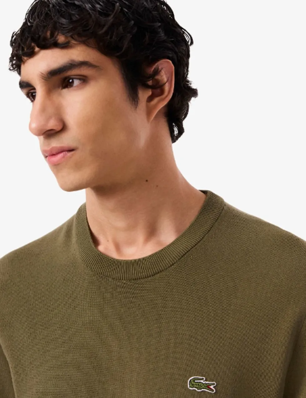 Pure Cotton Crew Neck Sweatshirt