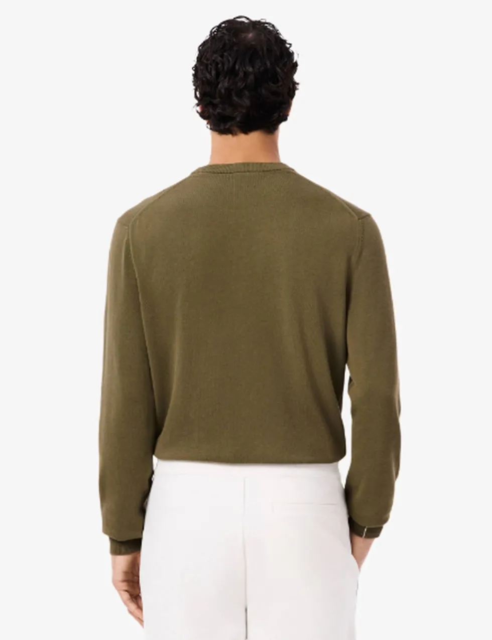 Pure Cotton Crew Neck Sweatshirt