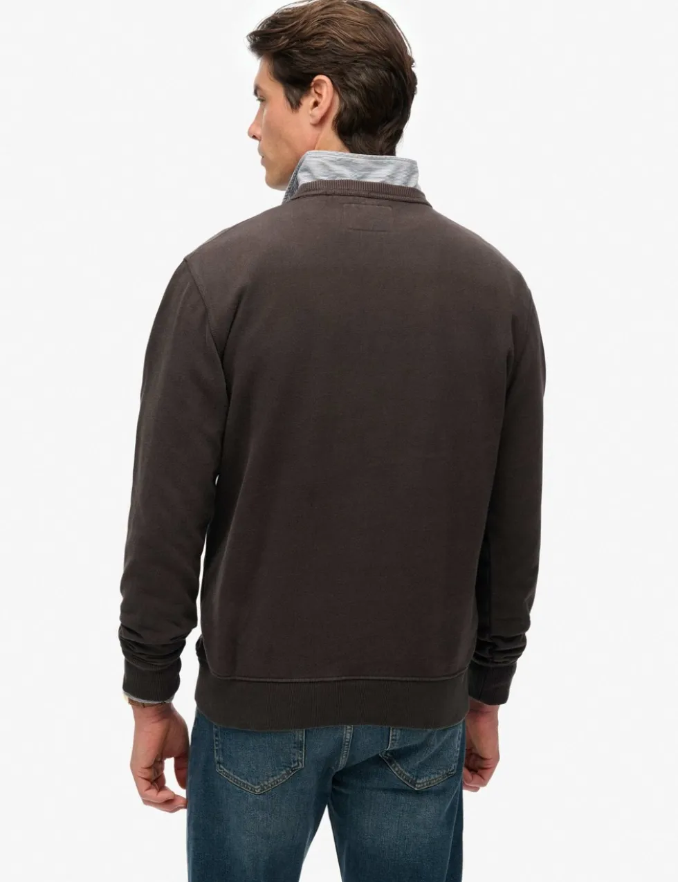 Pure Cotton Graphic Crew Neck Sweatshirt