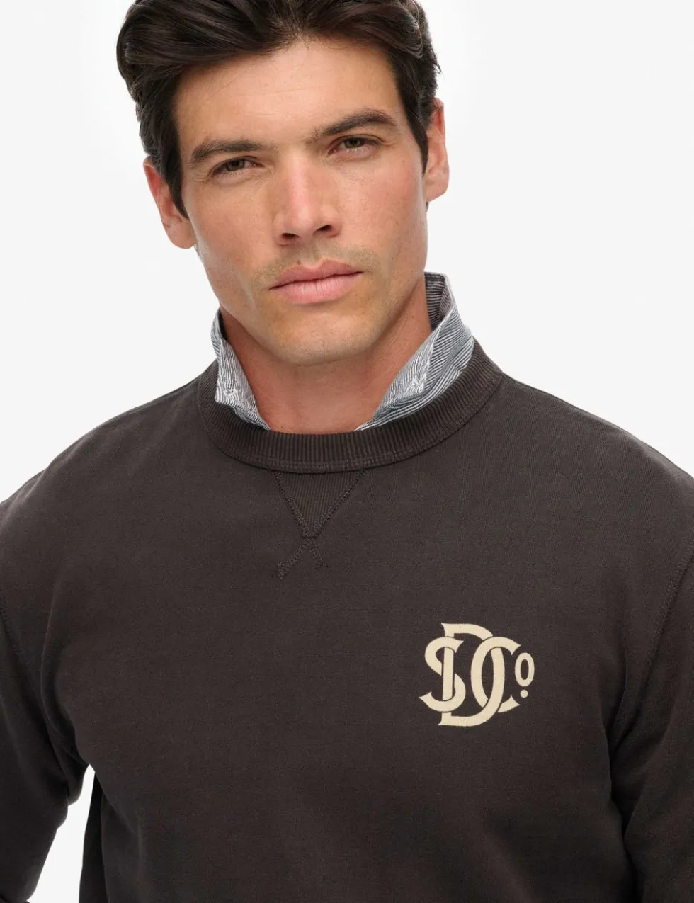 Pure Cotton Graphic Crew Neck Sweatshirt