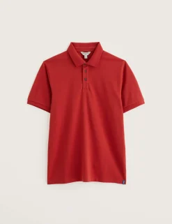 Pure Cotton Polo Shirt