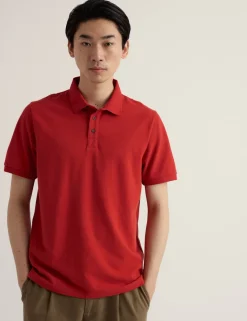 Pure Cotton Polo Shirt