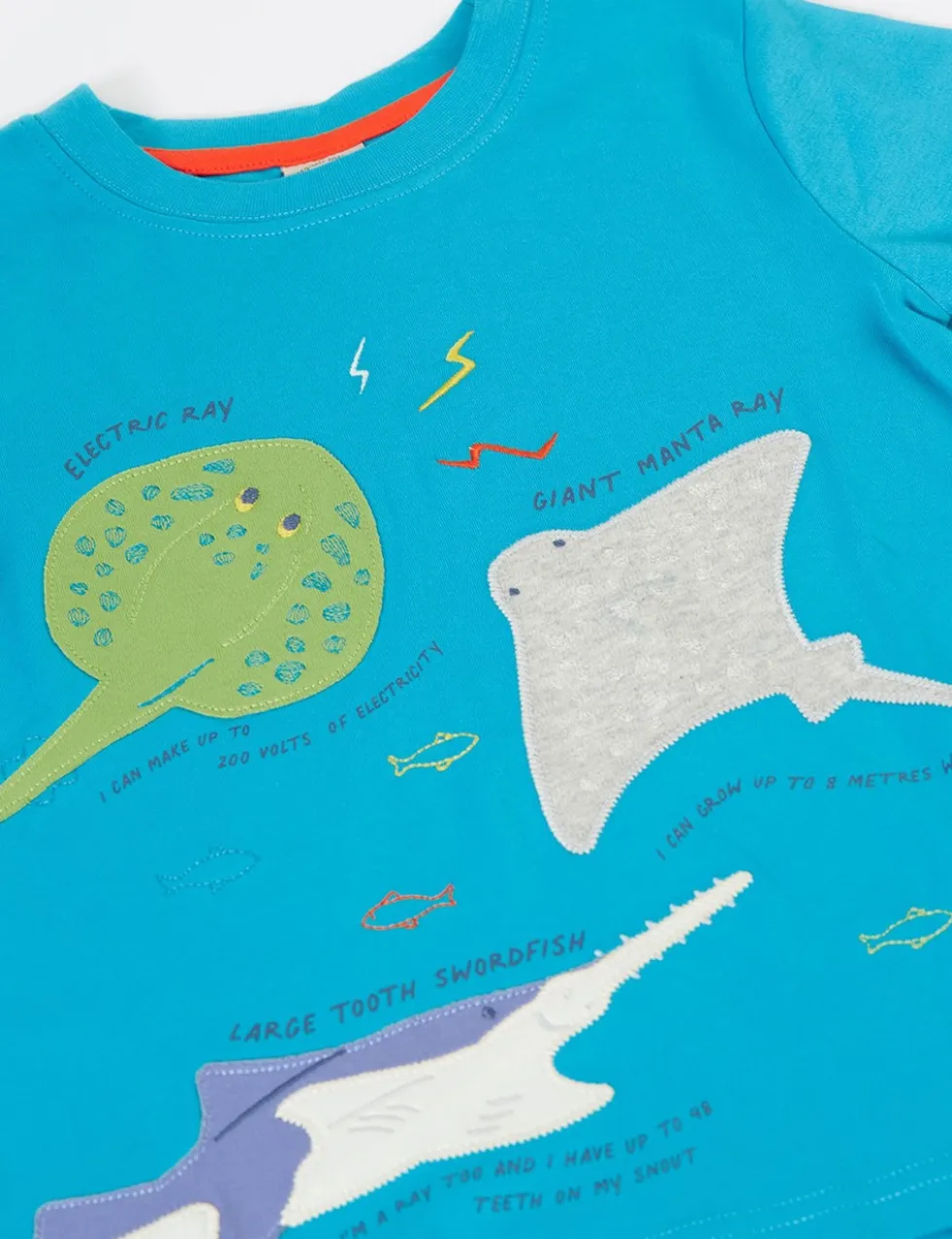 Pure Cotton Sealife Applique T-Shirt (1-10 Yrs)