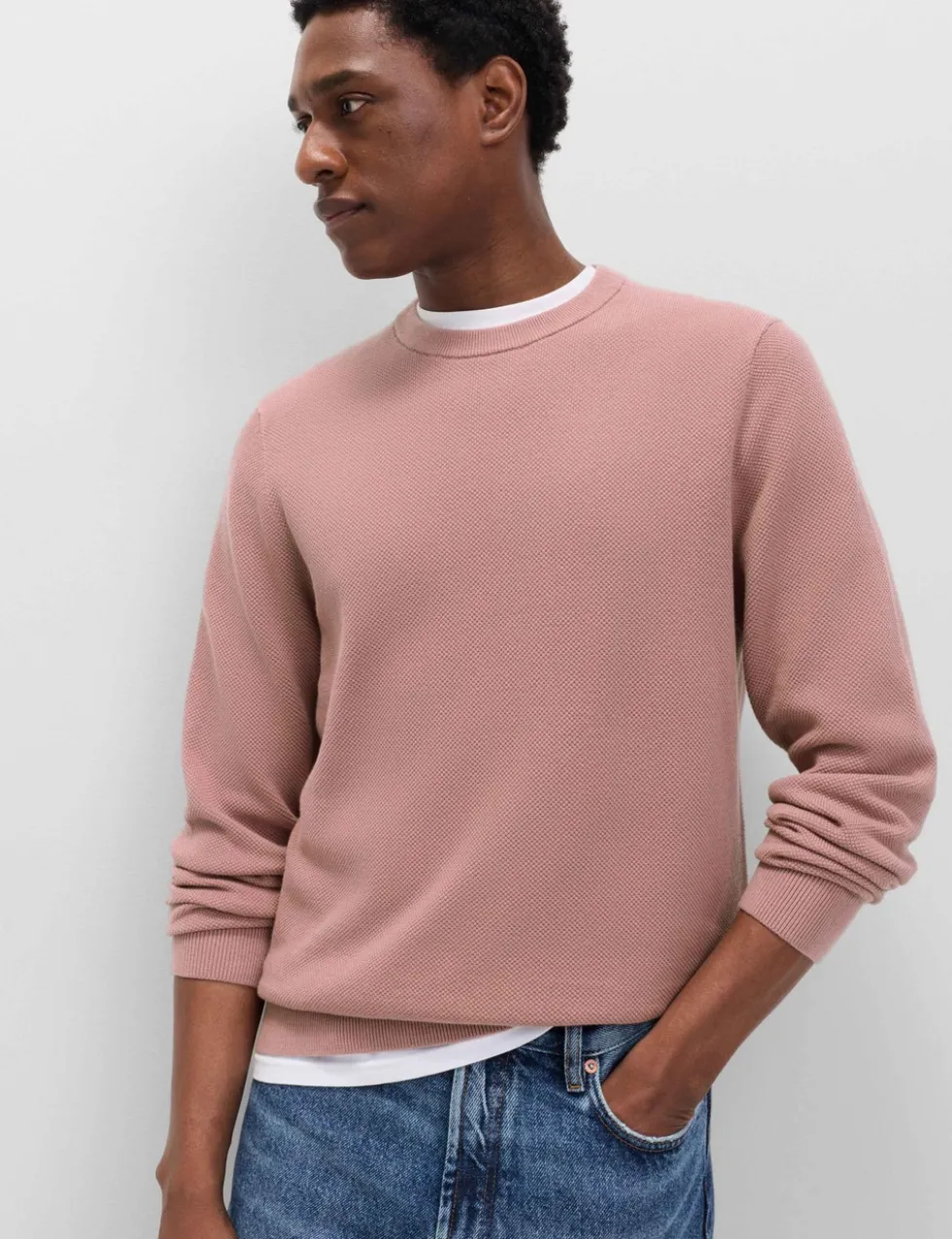 Pure Cotton Textured Crew Neck Jumper