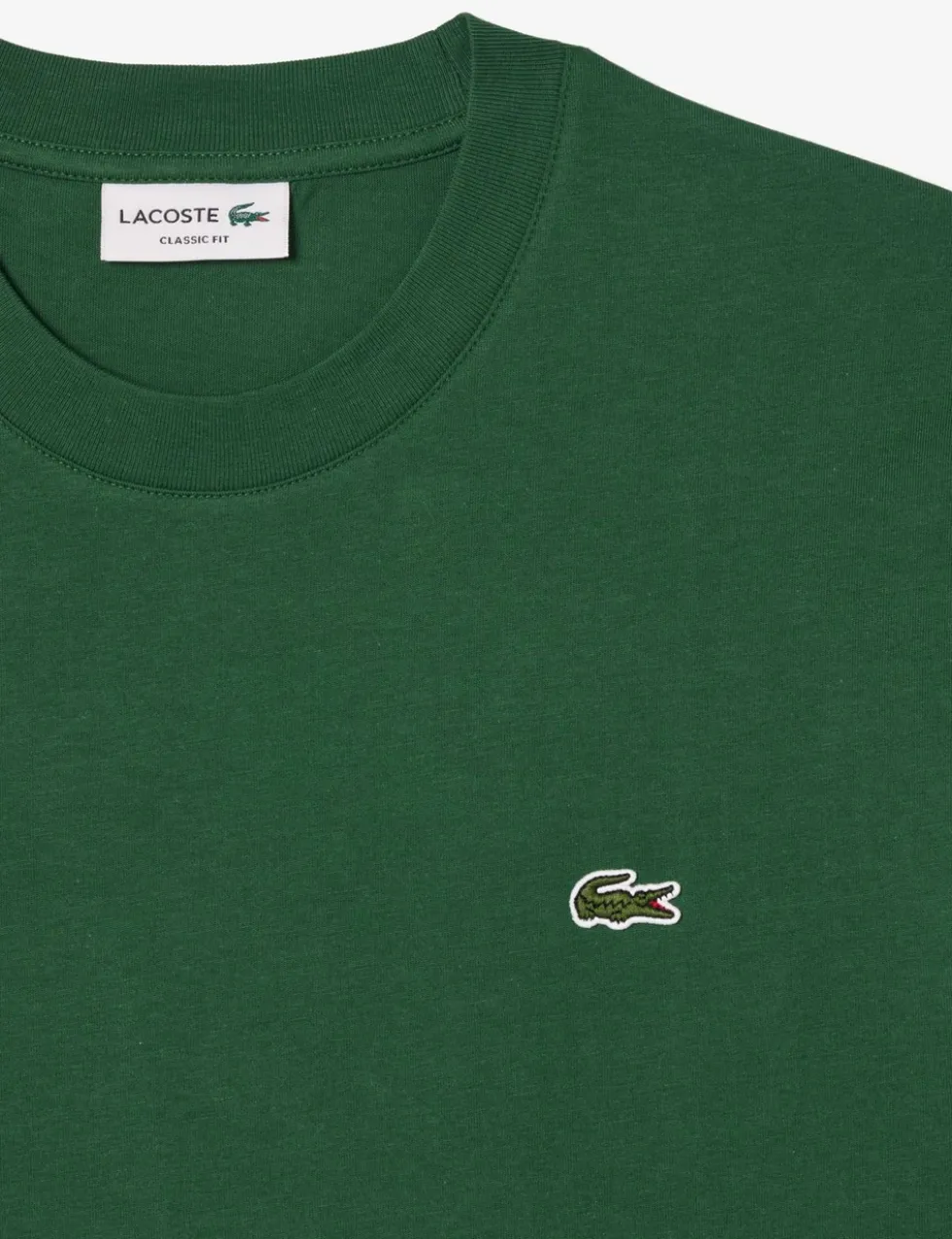 Pure Cotton T-Shirt