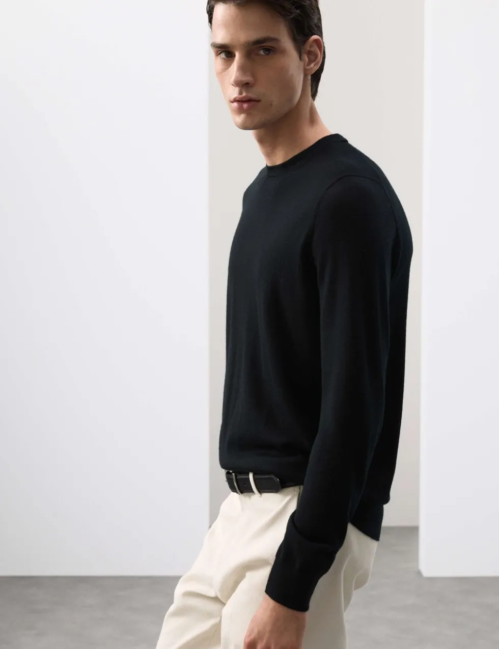 Pure Extra Fine Merino Wool Crew Neck Jumper